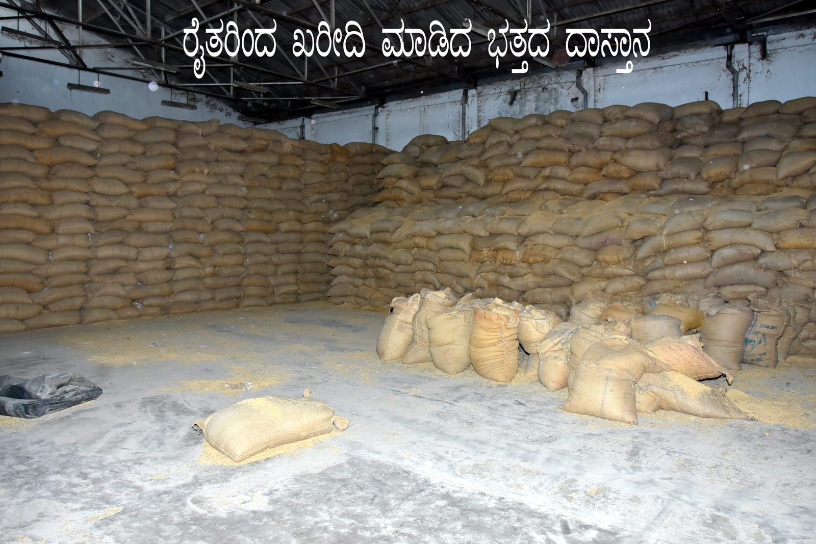 Paddy Procurement